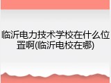 临沂电力技术学校在什么位置啊(临沂电校在哪)