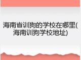 海南省训狗的学校在哪里(海南训狗学校地址)