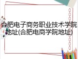 合肥电子商务职业技术学院地址(合肥电商学院地址)