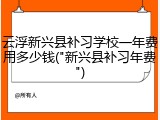 云浮新兴县补习学校一年费用多少钱("新兴县补习年费")