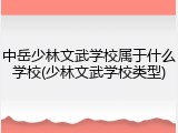 中岳少林文武学校属于什么学校(少林文武学校类型)