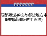 成都叛逆学校有哪些地方中职的(成都叛逆中职校)