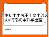 河南初中生考不上高中怎么办(河南初中升学出路)