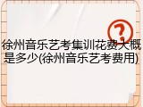 徐州音乐艺考集训花费大概是多少(徐州音乐艺考费用)
