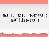 临沂电子科技学校葛兆广(临沂电校葛兆广)