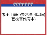 考不上高中去艺校可以吗(艺校替代高中)