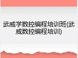 武威学数控编程培训班(武威数控编程培训)