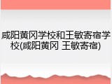 咸阳黄冈学校和王敏寄宿学校(咸阳黄冈 王敏寄宿)