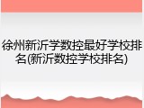 徐州新沂学数控最好学校排名(新沂数控学校排名)