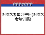 湘潭艺考集训费用(湘潭艺考培训费)