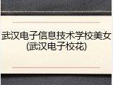 武汉电子信息技术学校美女(武汉电子校花)