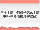 考不上高中的孩子怎么上高中呢(中考落榜升学途径)