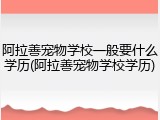 阿拉善宠物学校一般要什么学历(阿拉善宠物学校学历)
