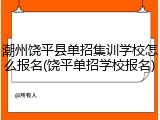 潮州饶平县单招集训学校怎么报名(饶平单招学校报名)