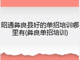 昭通彝良县好的单招培训哪里有(彝良单招培训)