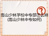嵩山少林学校中专部怎么样(嵩山少林中专如何)