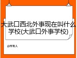 大武口西北外事现在叫什么学校(大武口外事学校)