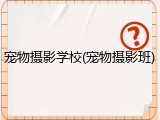 宠物摄影学校(宠物摄影班)