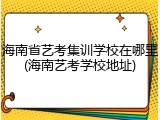 海南省艺考集训学校在哪里(海南艺考学校地址)