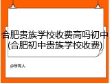 合肥贵族学校收费高吗初中(合肥初中贵族学校收费)