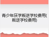 青少年厌学叛逆学校费用(叛逆学校费用)