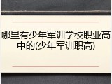 哪里有少年军训学校职业高中的(少年军训职高)