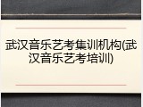 武汉音乐艺考集训机构(武汉音乐艺考培训)