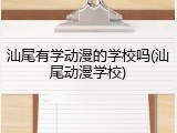 汕尾有学动漫的学校吗(汕尾动漫学校)