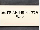 深圳电子职业技术大学(深电大)
