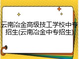 云南冶金高级技工学校中专招生(云南冶金中专招生)