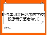 松原集训音乐艺考的学校(松原音乐艺考培训)