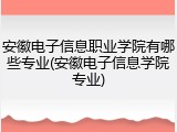 安徽电子信息职业学院有哪些专业(安徽电子信息学院专业)