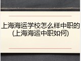 上海海运学校怎么样中职的(上海海运中职如何)