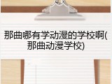 那曲哪有学动漫的学校啊(那曲动漫学校)