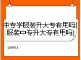 中专学服装升大专有用吗(服装中专升大专有用吗)