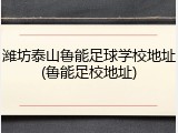 潍坊泰山鲁能足球学校地址(鲁能足校地址)