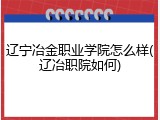 辽宁冶金职业学院怎么样(辽冶职院如何)