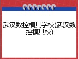 武汉数控模具学校(武汉数控模具校)