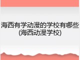 海西有学动漫的学校有哪些(海西动漫学校)