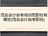 茂名会计自考培训班职校有哪些(茂名会计自考职校)