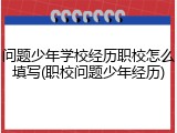 问题少年学校经历职校怎么填写(职校问题少年经历)