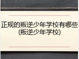 正规的叛逆少年学校有哪些(叛逆少年学校)