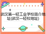 武汉第一轻工业学校简介地址(武汉一轻校地址)