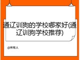 通辽训狗的学校哪家好(通辽训狗学校推荐)
