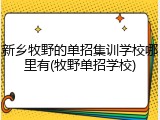 新乡牧野的单招集训学校哪里有(牧野单招学校)
