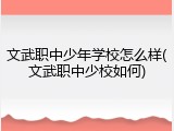 文武职中少年学校怎么样(文武职中少校如何)