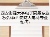 西安财经大学电子商务专业怎么样(西安财大电商专业如何)