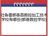 吐鲁番鄯善县数控加工技术学校有哪些(鄯善数控学校)