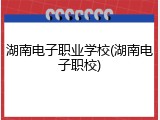 湖南电子职业学校(湖南电子职校)
