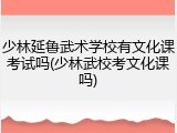 少林延鲁武术学校有文化课考试吗(少林武校考文化课吗)